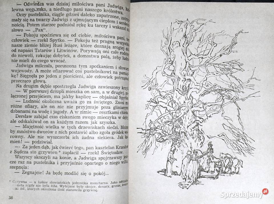 Jadwiga i Jagienka Czesława NiemyskaRączaszkowa Chełm