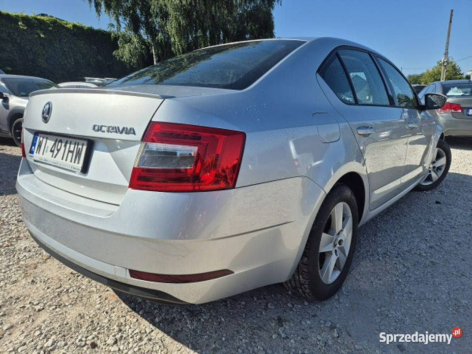 koda Octavia Salon Polska15Tsi Zadbana22018 Octavia Bydgoszcz