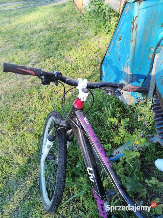GIANT LIV 26 MTB rama xs aluminium lubuskie Krosno Odrzańskie