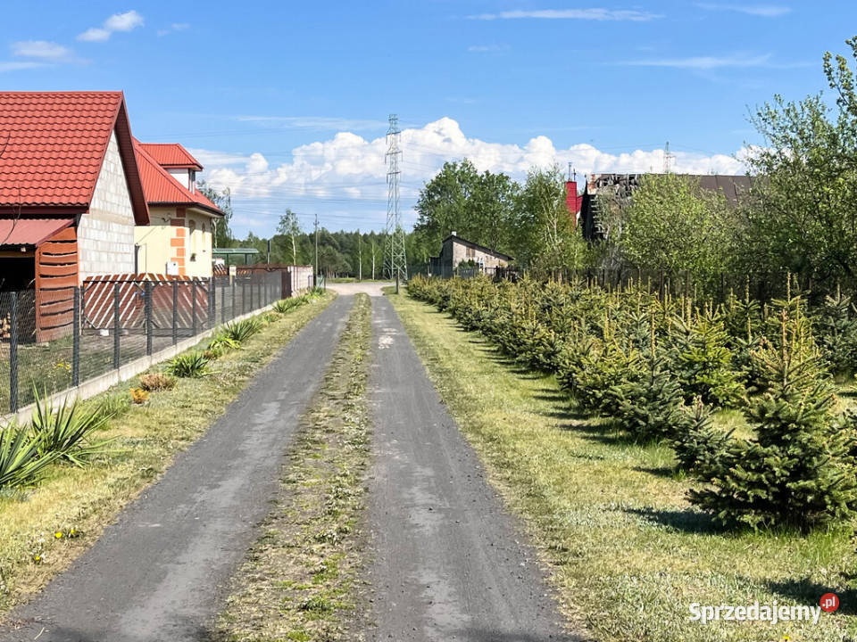 Dom remoncie 1065m2 działka 2873m2 choinki świętokrzyskie