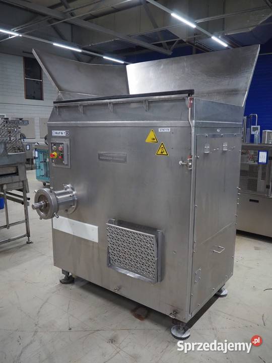 Krmer Grebe SCWW Wilk masarski Krotoszyn