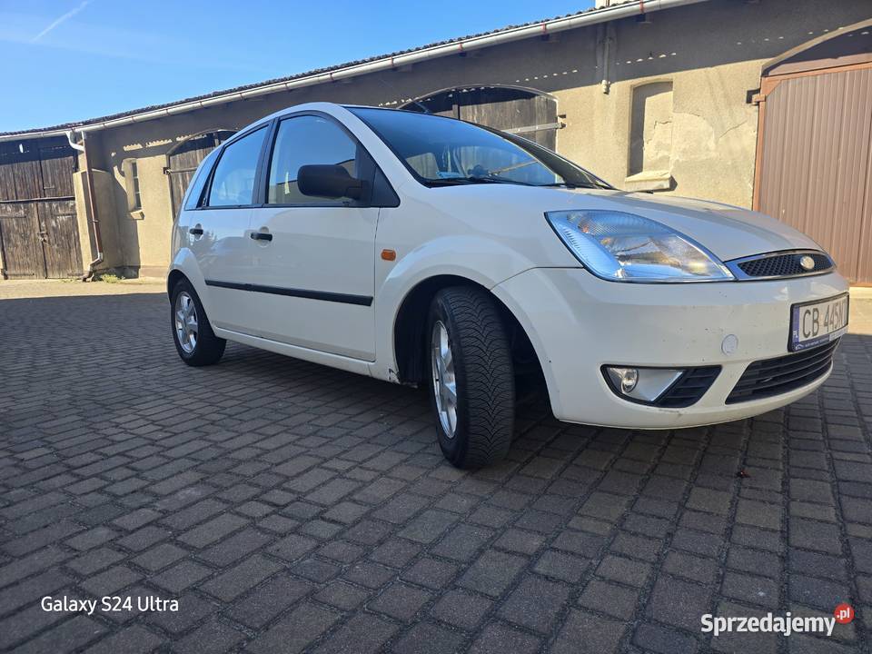 Zadbana Fiesta kobiety immobilizer Paterek