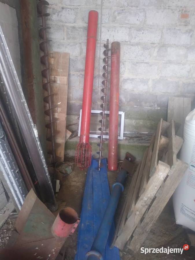 Zmijka przenosnik slimakowy