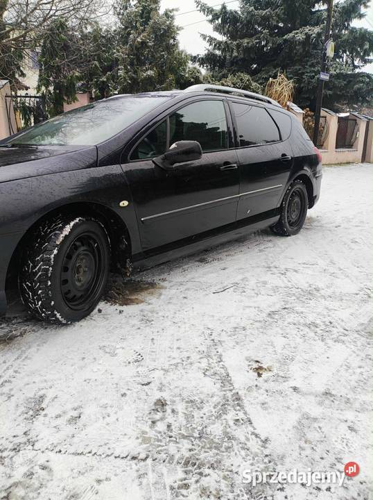 szpedam czarną Perłę z 2009 roku Bydgoszcz