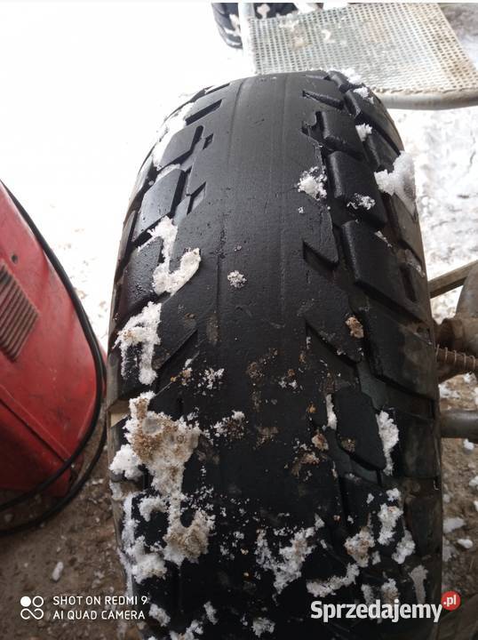 Bashan 250 do przeglądu i poprawek Rok produkcji 2008 Zubrzyca Górna