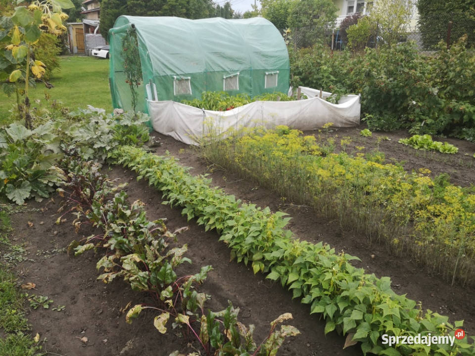 2 zlaczone dzialki budowlane calosc na sprzedaz Boguchwała sprzedam