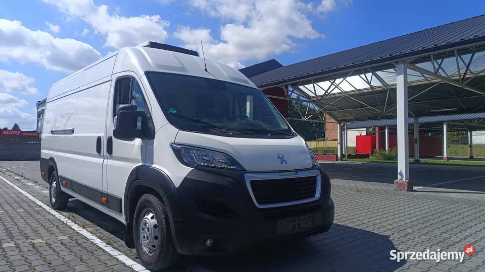 Peugeot Boxer L4H2 CHŁODNIA Carrier Bogata Jędrzejów