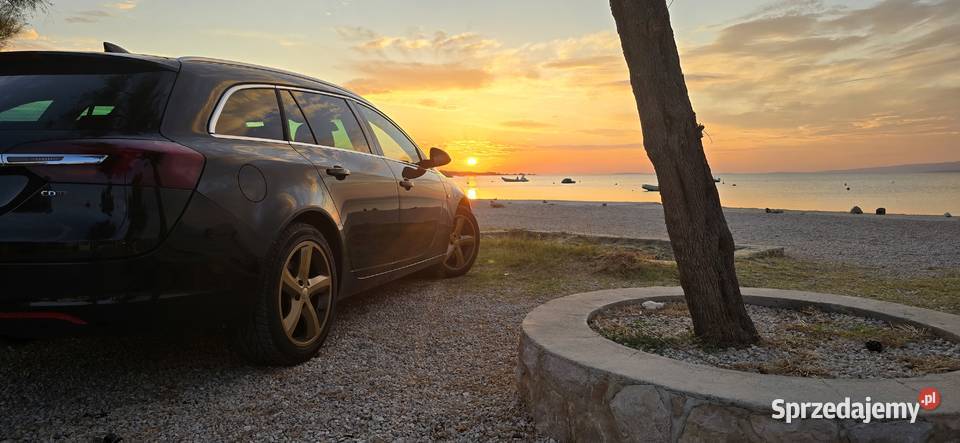 Opel Insignia 20 CDTI 1956cm3 Gorzyczki