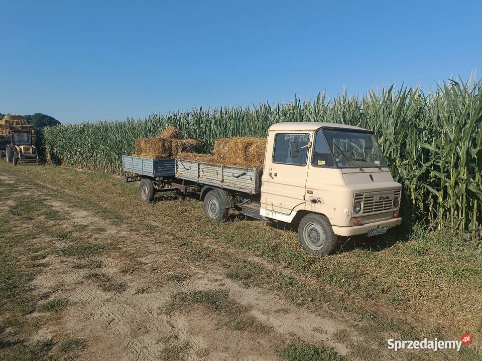 Żuk