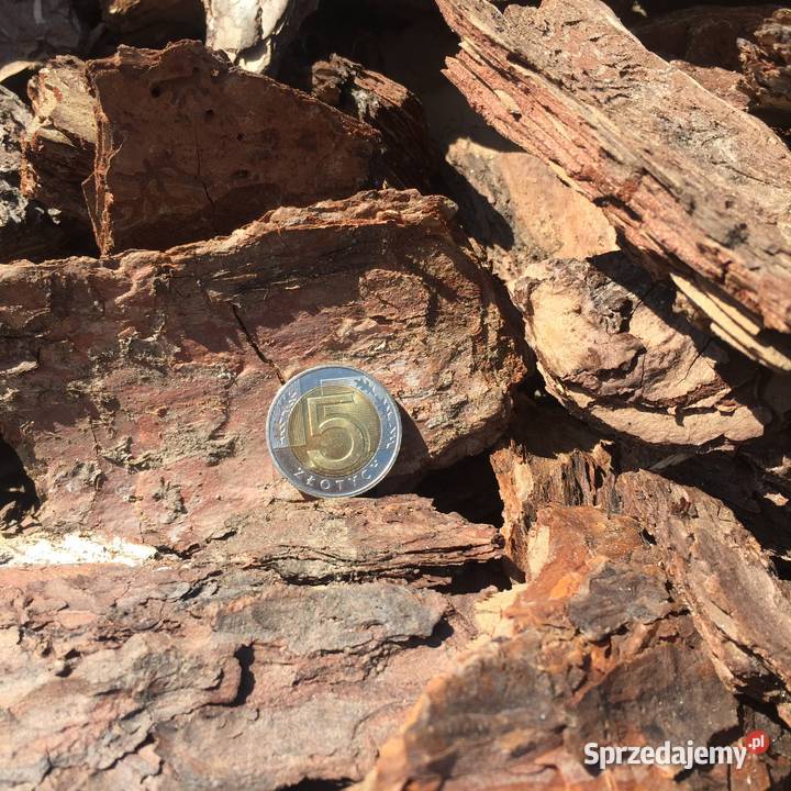 Kora Sosnowa GRUBA Frakcja 10100mm Brzeźno