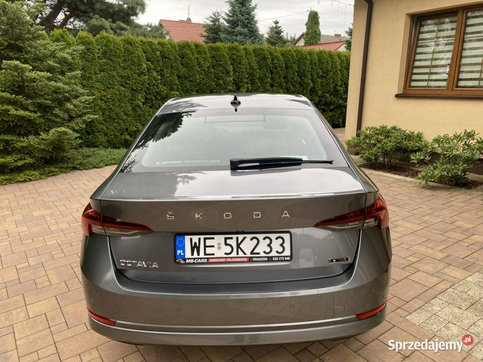koda Octavia I Wł Krajowy DSG 62000 Ambition Pruszków