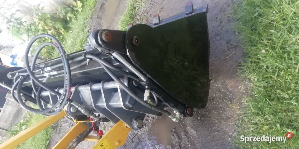 Krokodyl Mokronosy