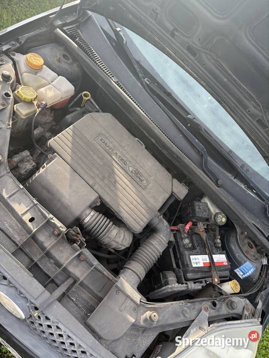 Ford Fiesta 13 Benzyna 2005 Fiesta Nakło nad Notecią