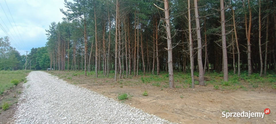 sprzedaży gruntu 2197m2 Daleszyce