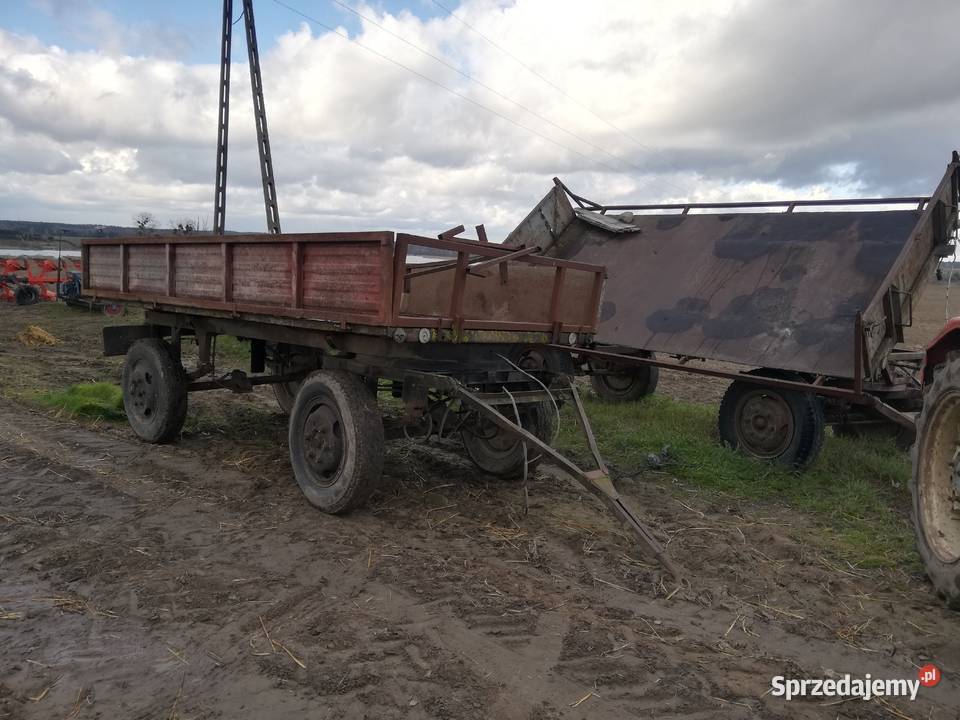 przyczepa wywrotka d35 Szubin sprzedam