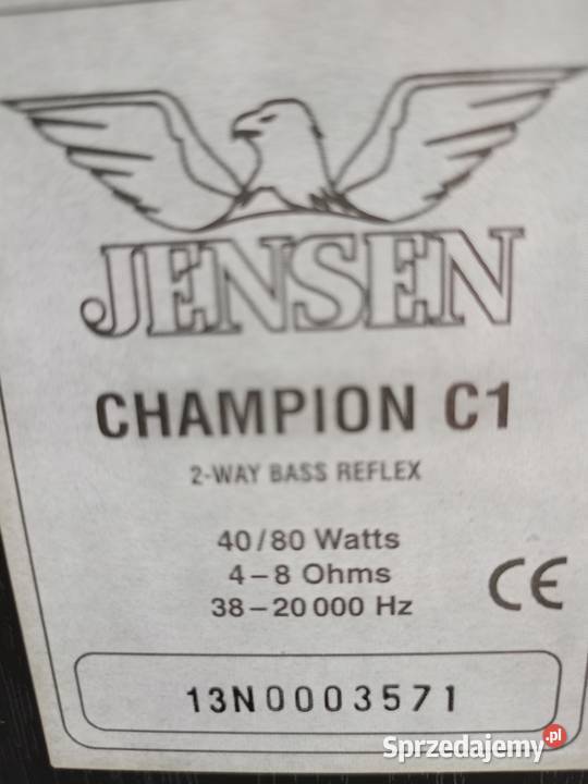 Kolumny Jensen Champion Drawski Młyn