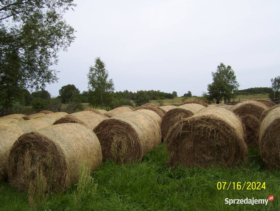 siano ekologiczne certyfikat możliwy transport
