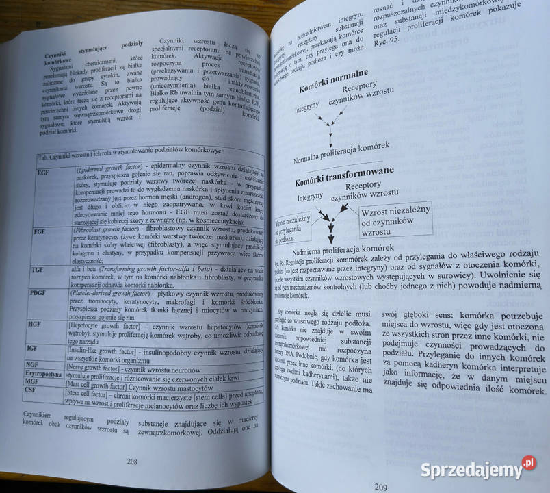 Aspekty kosmetologiczne tom 1 Sławomira śląskie Sosnowiec