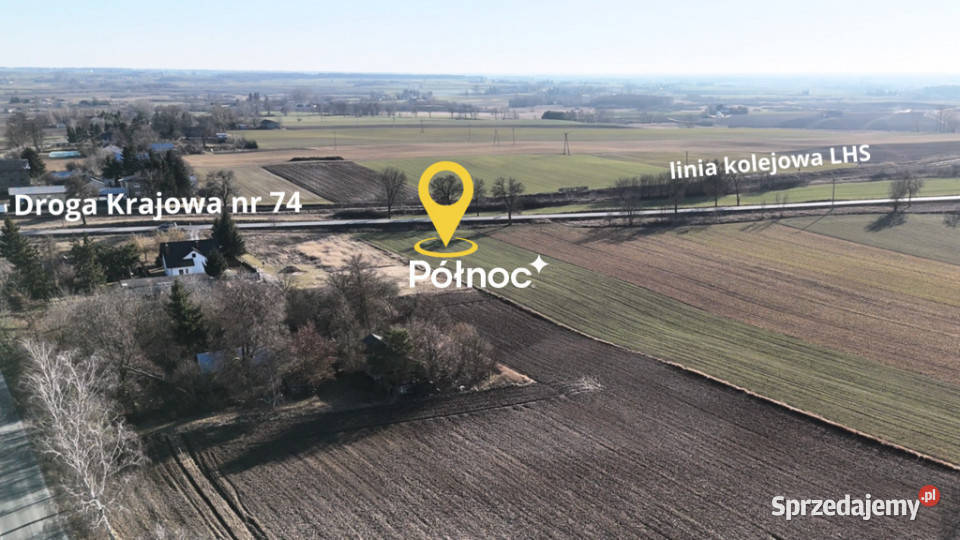 Działka komercyjna 030 ha DK74 Alojzów Sprzedaż