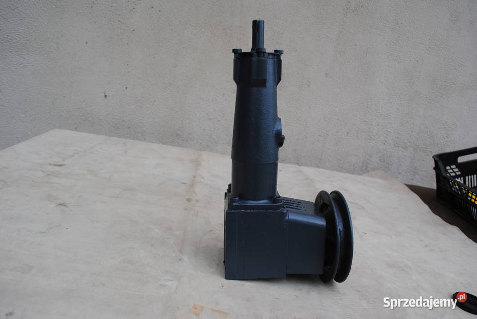 Wyrzynarka pionowa taśmowa włosowa mimośród Błonie