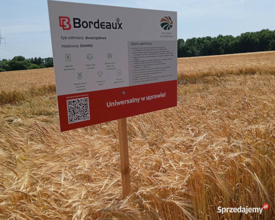 Jęczmień ozimy Bordeaux dwurzędowy Top Farms Mortąg