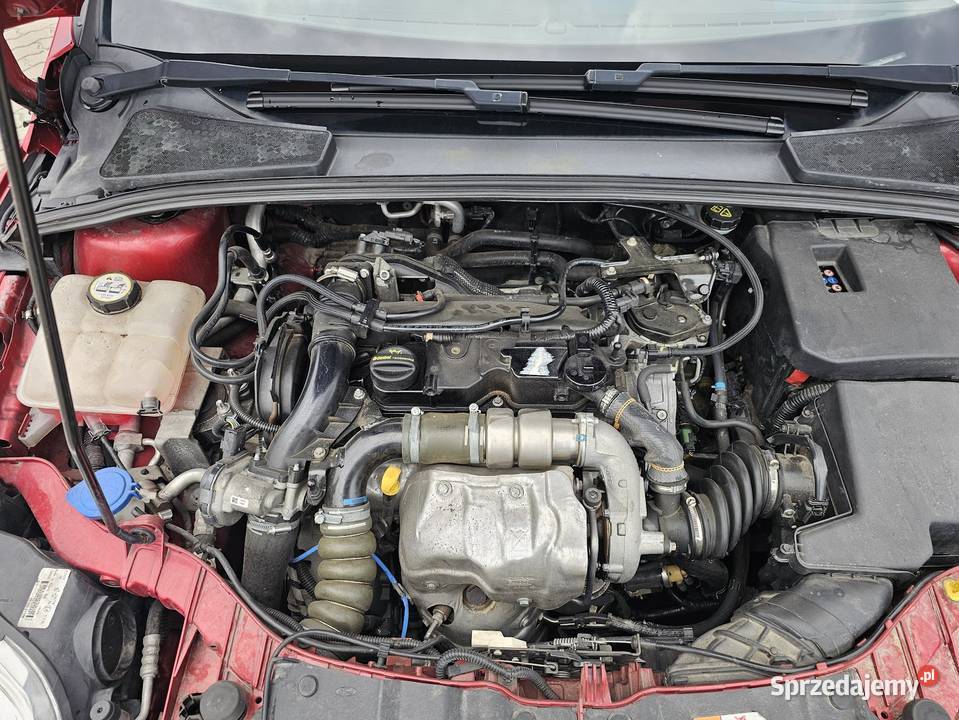Ford Focus 16 tdci 95 Rok produkcji 2012 Siemiatycze
