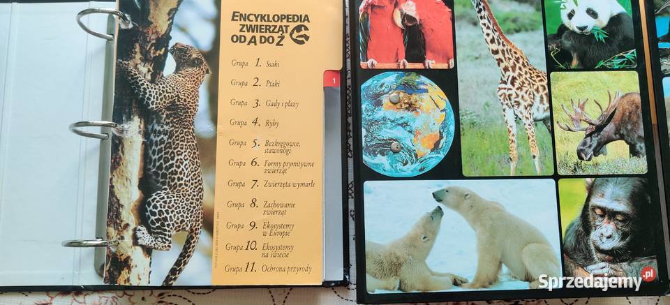 Encyklopedia zwierząt A do Z twarda Myszków