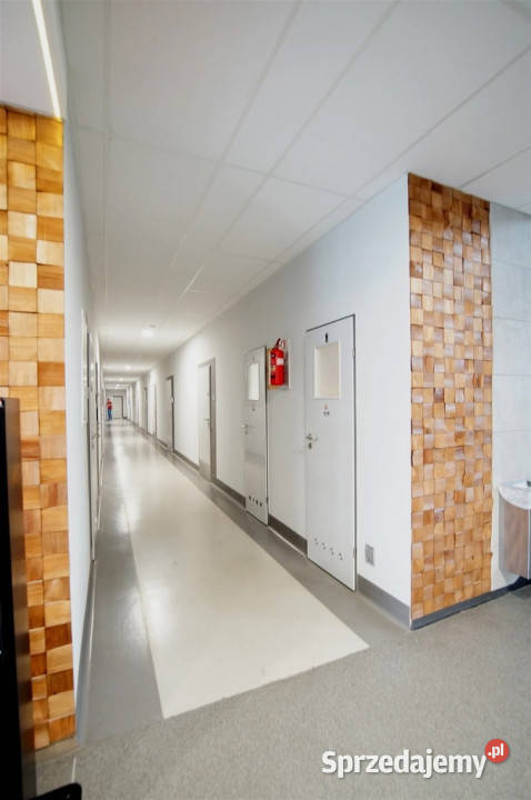 wynajem lokal użytk 60m2biurowiec Opole Zakrzów