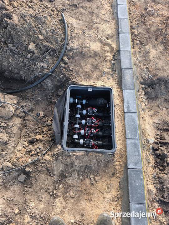 Ogrodnik Białystok Projektowanie zakładanie podlaskie