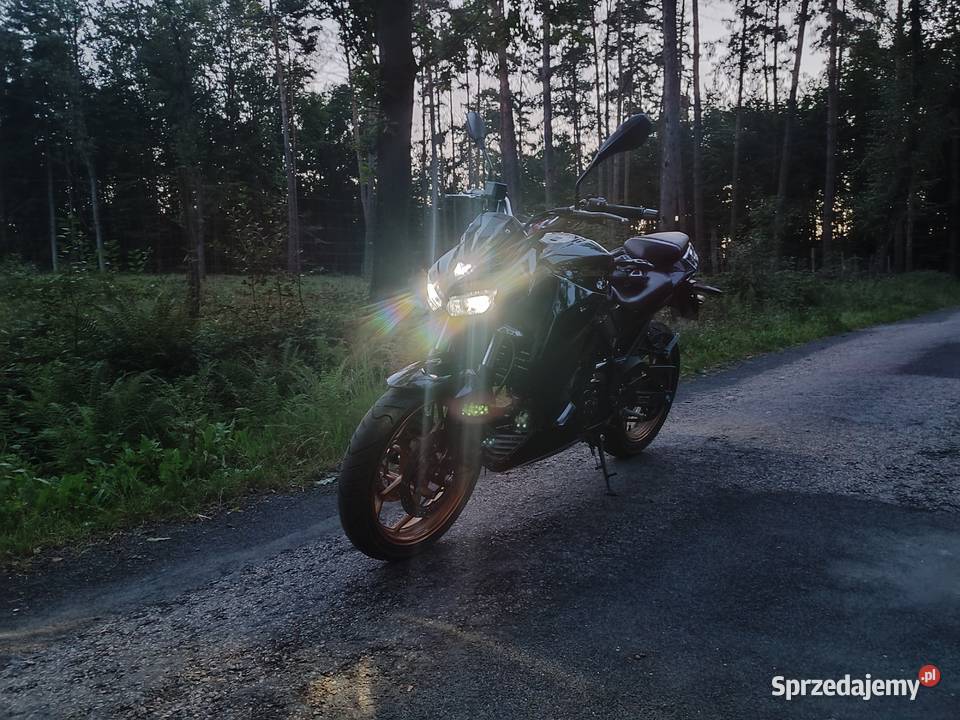 Sprzedam yamasaki roadster50 Sprzedaję ładny Frydrychowice