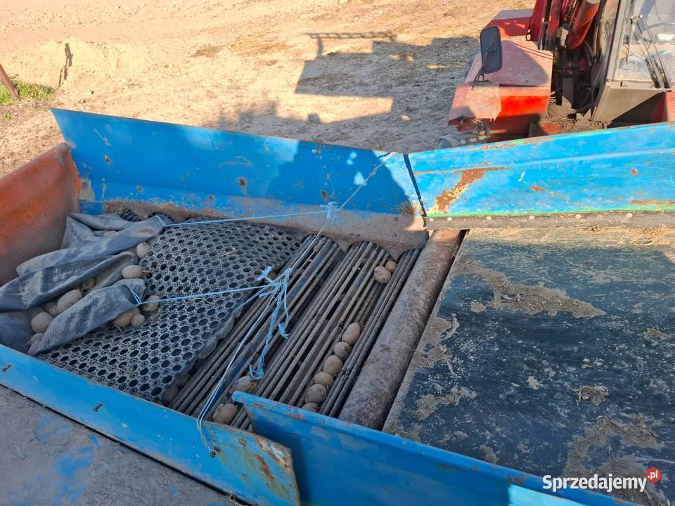 sortownik do ziemniaków czyszczarka do lubelskie