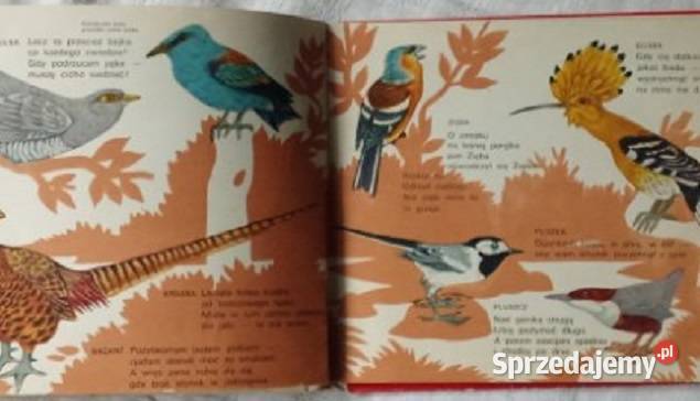 Fraszki na ptaszki Scisłowski il Mrowiński bajki Łódź