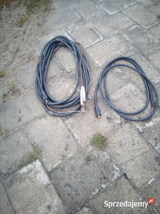 Gęsi białe domowe Drób i ptactwo Płachty