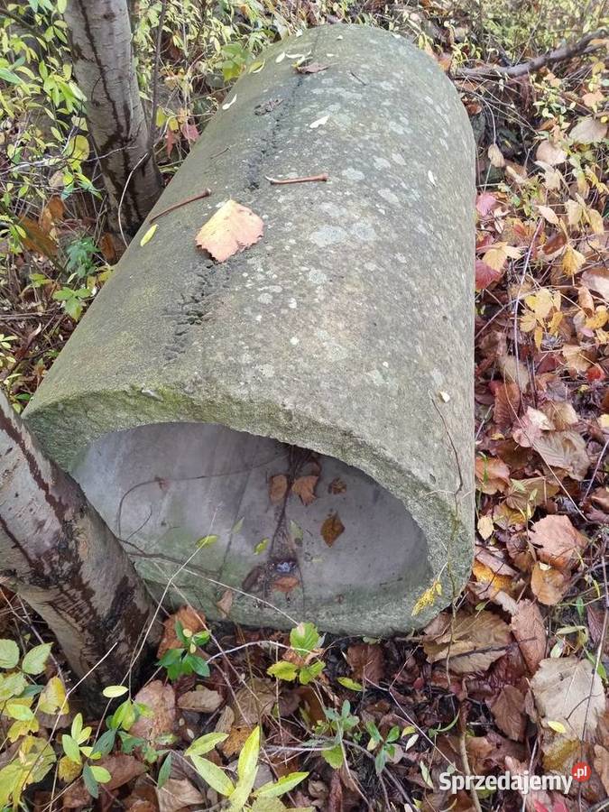 Dreny 15050 Piotrków Trybunalski