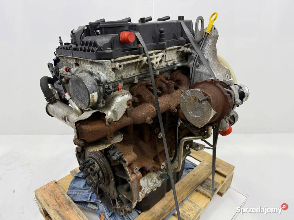 SILNIK CYR5 Ford Transit VIII MK8 22 TDCI 125 lubelskie Chełm
