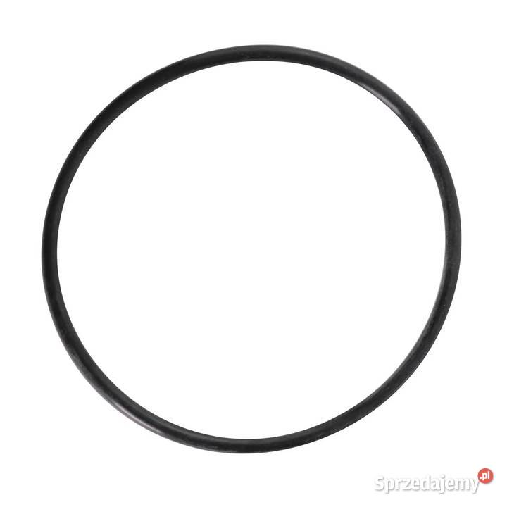 381895 Oring CNH