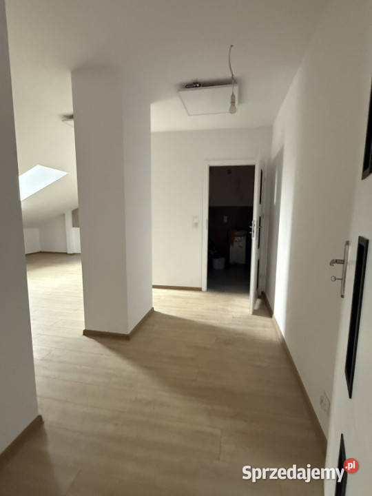 Do wynajęcia mieszkanie w ścisłym centrum Kraków