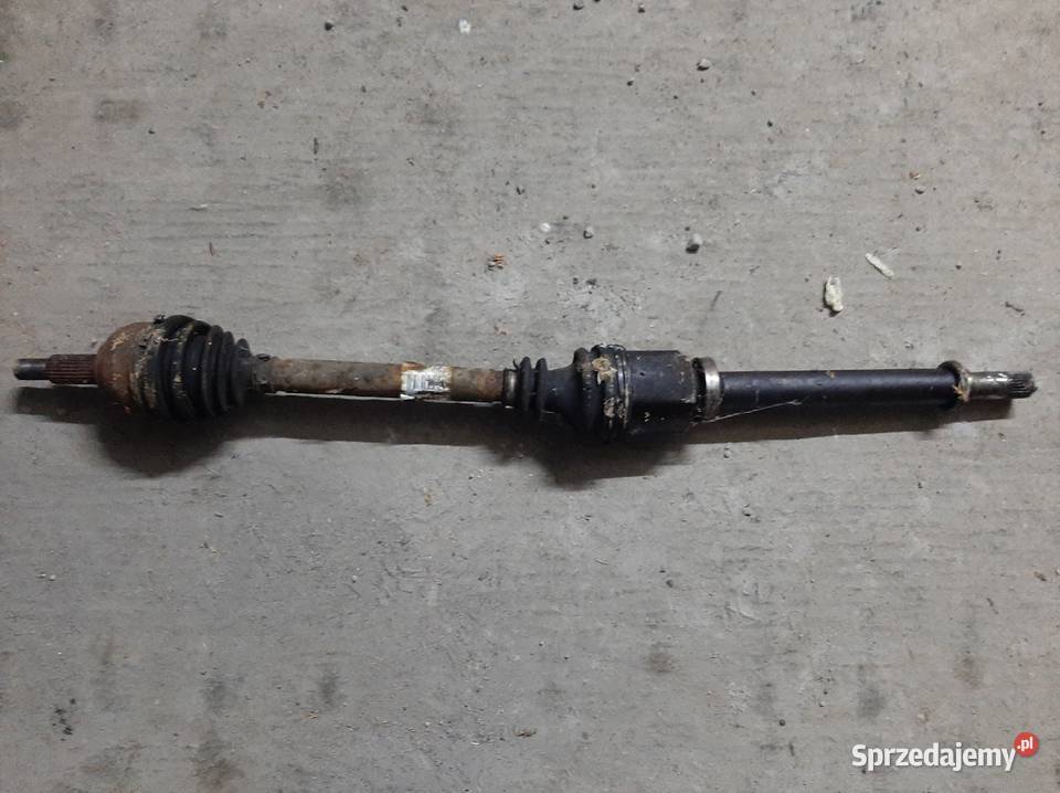 Polos Polosie Lewa Prawa Renault Scenic II 15 Częstochowa sprzedam