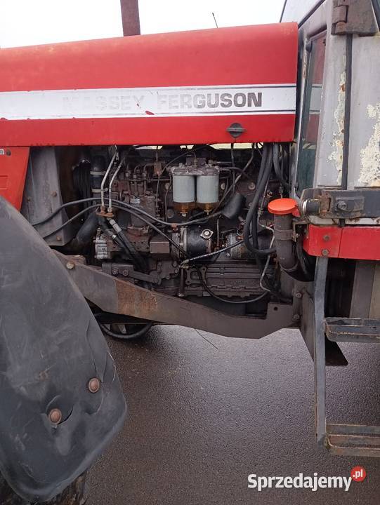 Massey Ferguson 699 wielkopolskie Radyczyny sprzedam