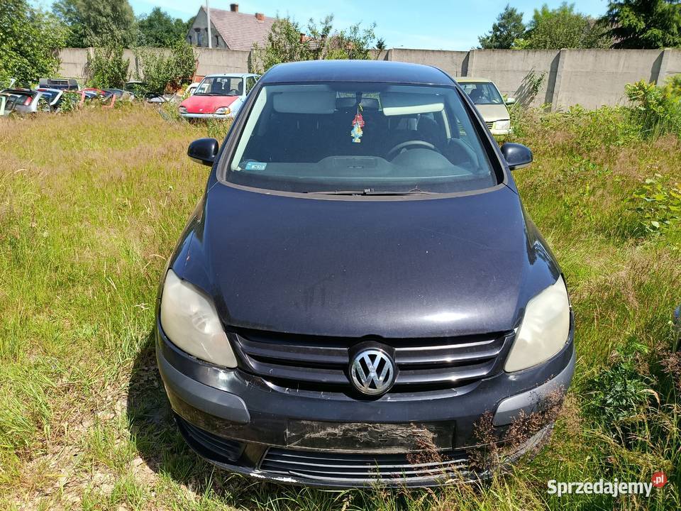 Volkswagen Golf Plus 16 FSI 85 kW 2006 r dawca Szklarka Myślniewska