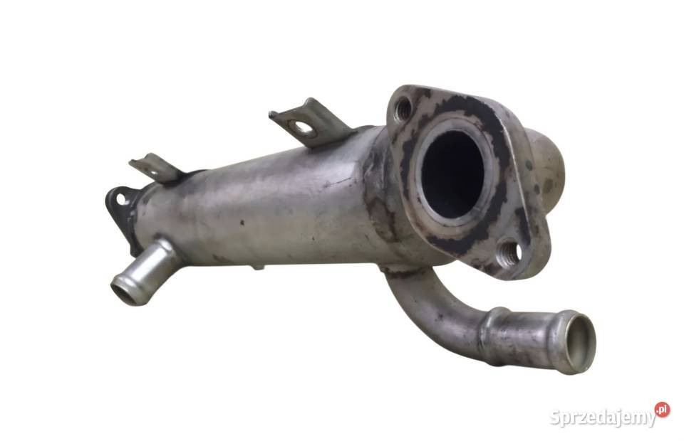 CHŁODNICA CHŁODNICZKA SPALIN EGR SEAT LEON I Działoszyce sprzedam