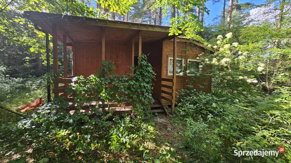 MAZURY Domek letniskowy z działką 6 arów mazowieckie Warszawa