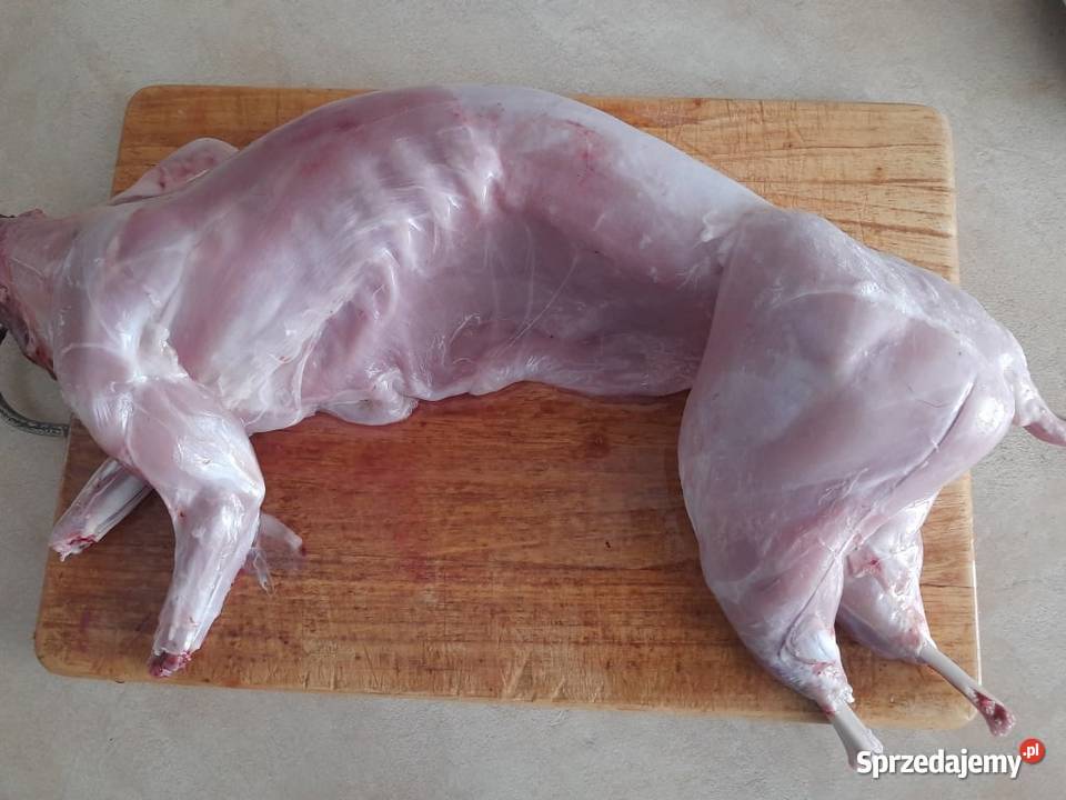 Mięso z królika tuszki z królika Miechów