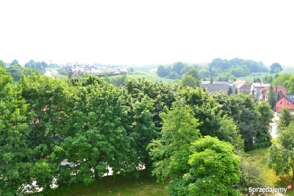 Kawalerka 24m2 3000zł/m2 dolnośląskie Złotoryja