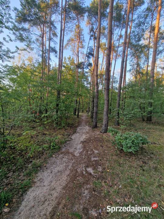 Działka budowlana Piotrków Tryb Wojska Polskiego Piotrków Trybunalski
