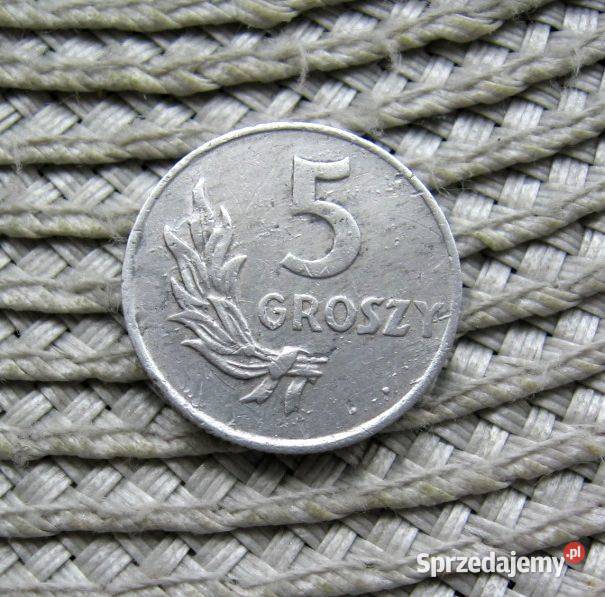 Polska 5 gr 1949r Kalisz