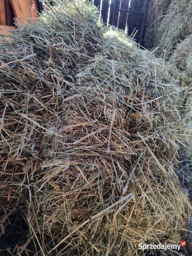 Siano z ładnej trawy Produkcja roślinna