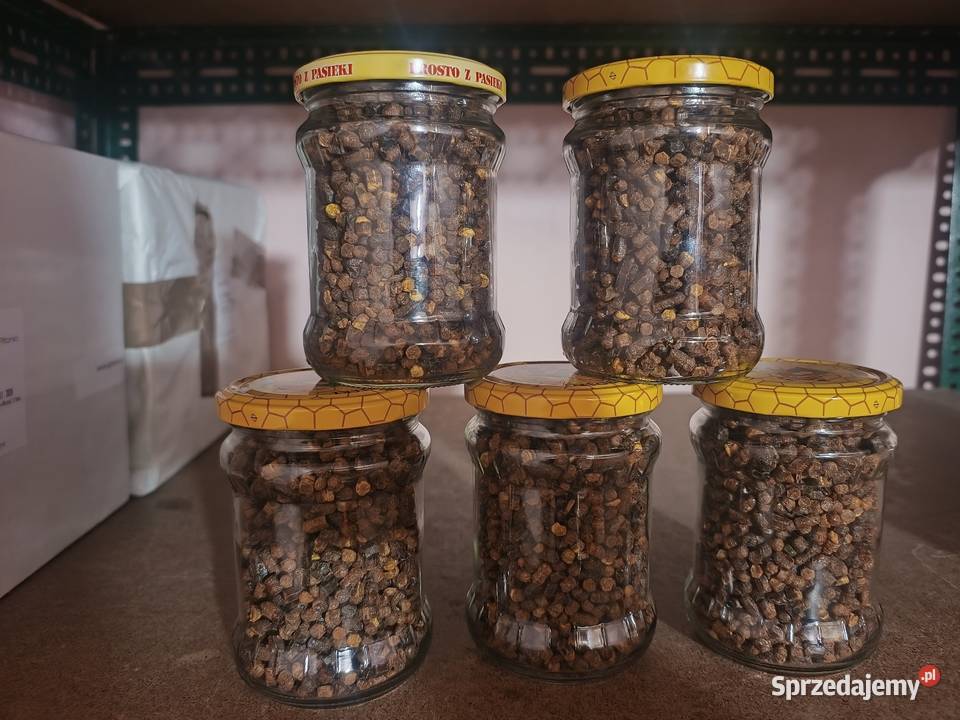 Pierzga Pszczela 300g zbiór 2026 Pyłek pszeczeli Siostrzytów