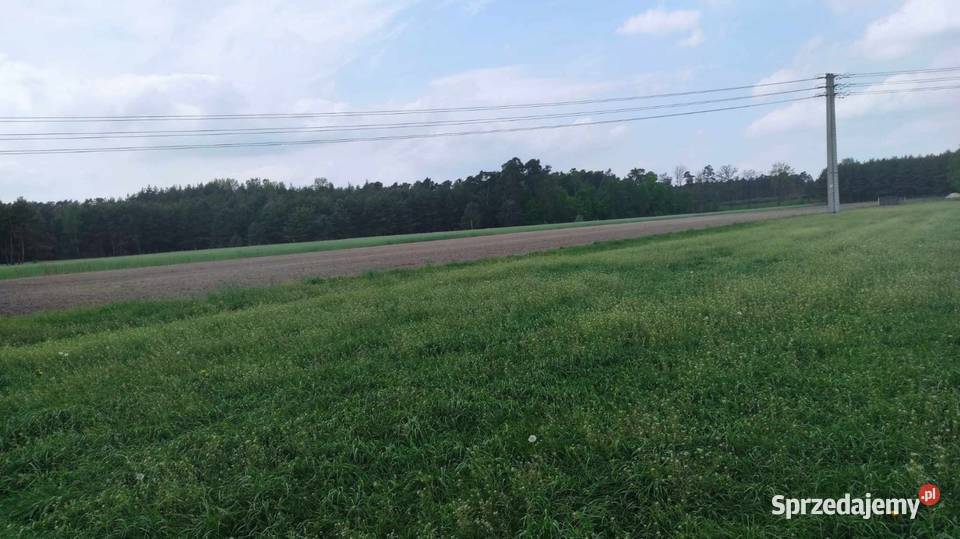 Sprzedam działki wielkopolskie