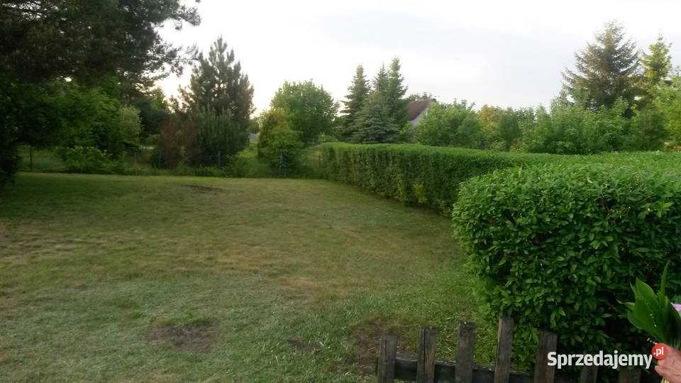 ROD działka Kamieniec Wrocławski 500 m2 utwardzona